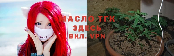 гашик Горнозаводск