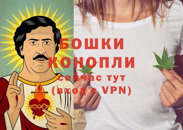 мдпв Михайлов