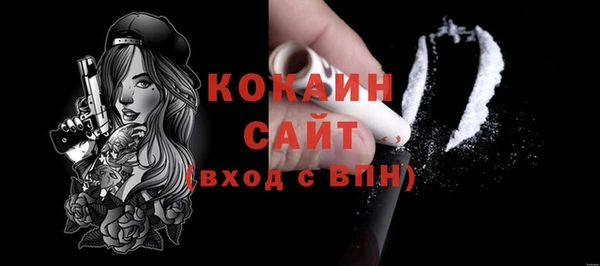 мдпв Михайлов