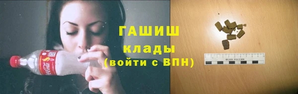 мдпв Михайлов