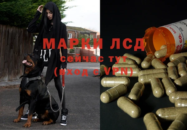 мдпв Михайлов
