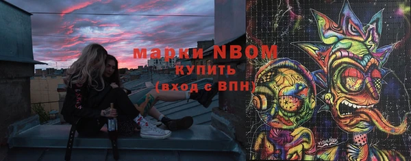 хмурый Горняк